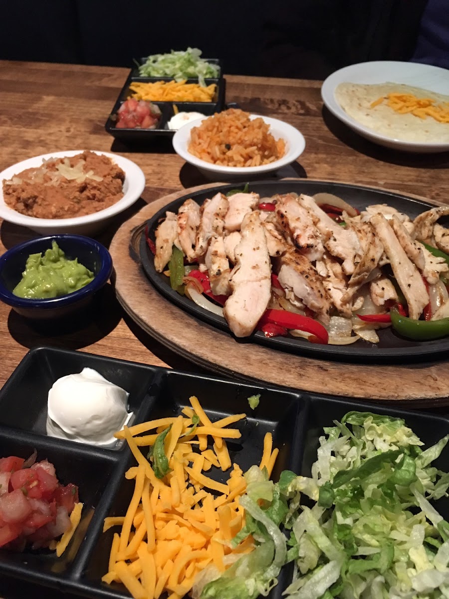 Chicken Fajita with corn tortillas