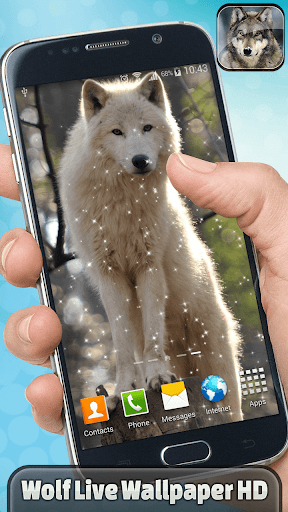 Wolf Live Wallpaper HD