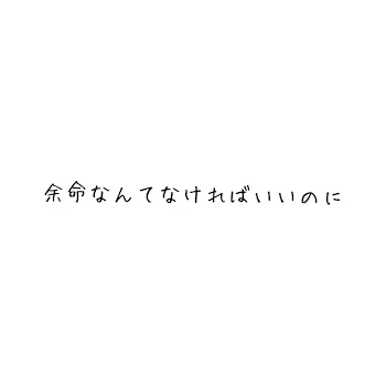 余命一年の私と人気物の君