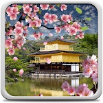 Sakura Garden Live Wallpaper Apk