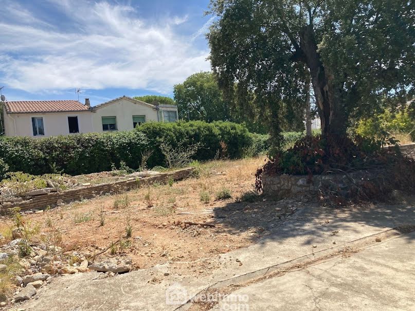 Vente terrain  384 m² à Vendargues (34740), 280 000 €