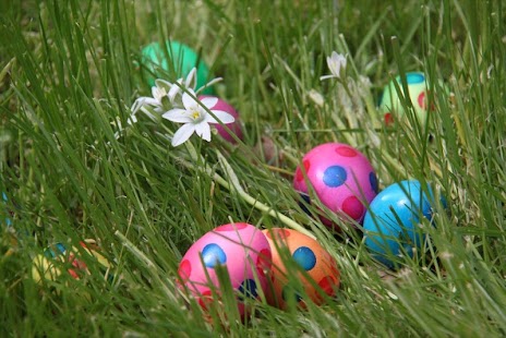 How to install Easter Eggs Wallpapers HD FREE lastet apk for android