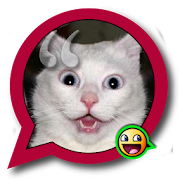 Funny phrases  Icon