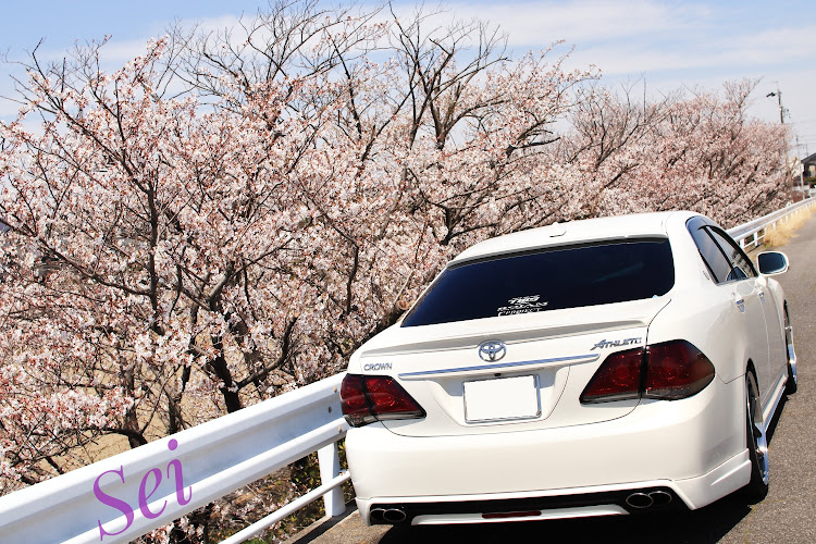 クラウンアスリートのインスパイア・バイク・隼・霞埠頭・桜とコラボに関するカスタム事例の投稿画像1枚目