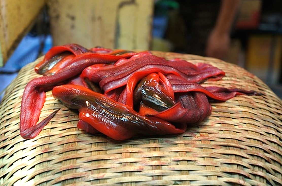 台南美食推薦-台灣第一攤【廖家老牌炒鱔魚】在沙卡里巴