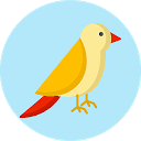 تنزيل What kind of bird are you? Test التثبيت أحدث APK تنزيل