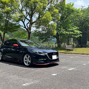 アクセラスポーツ BM2FS