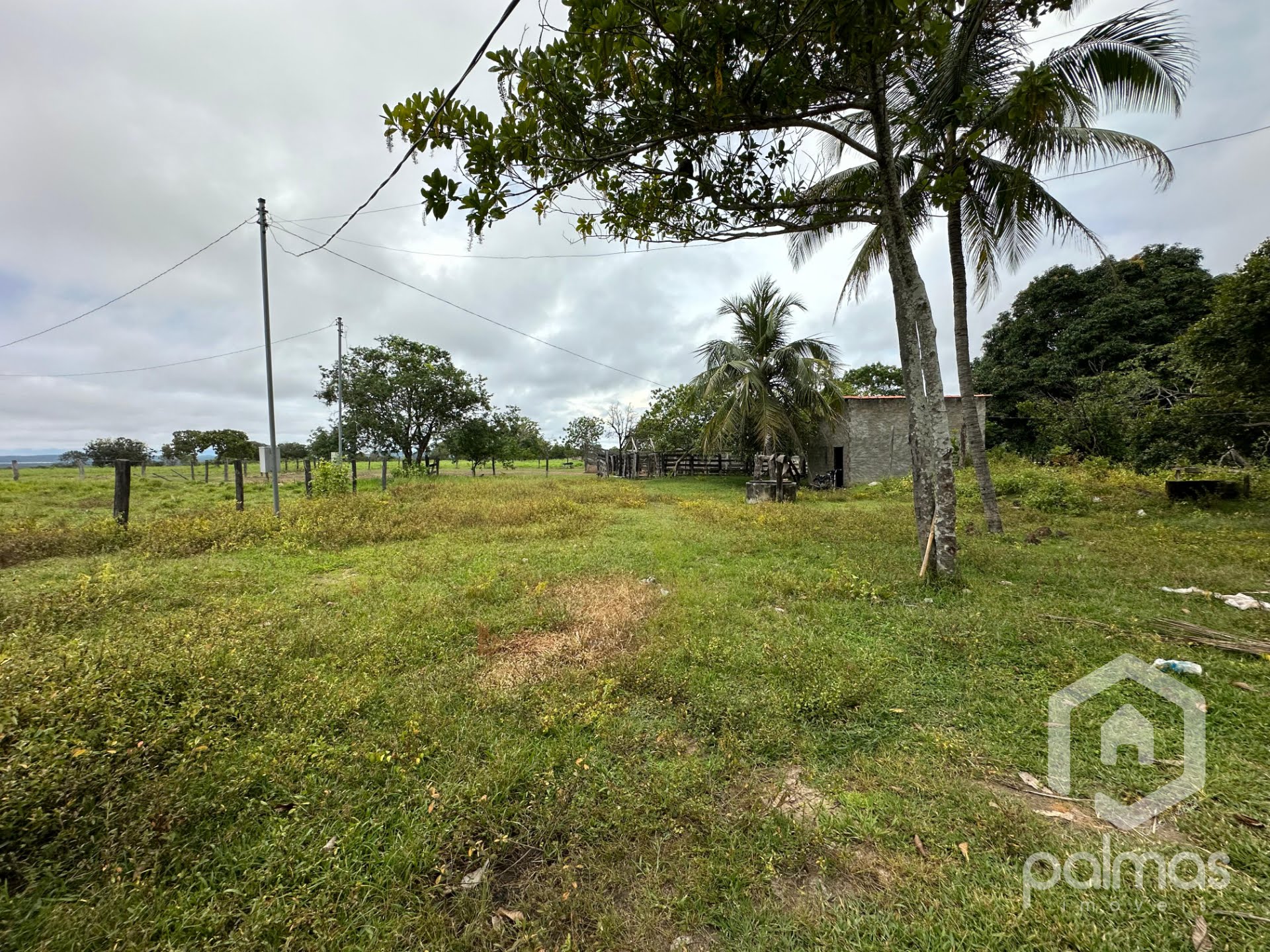 Fazenda-Sítio-Chácara, 890 m² - Foto 3