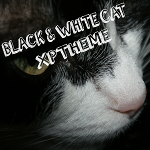 Black&White Cat XpTheme.apk 0.9.0