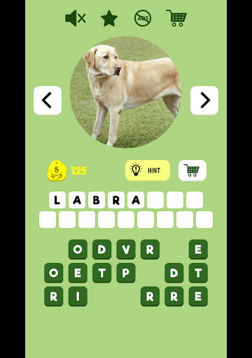 Quiz Diva Dog Breed Quiz Answers - roblox quiz diva video answer