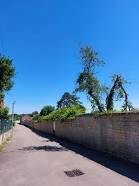 terrain à Maxilly-sur-Saône (21)