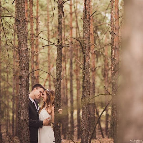 Fotógrafo de bodas Anna Gorbenko (annagorbenko). Foto del 13 de noviembre 2013