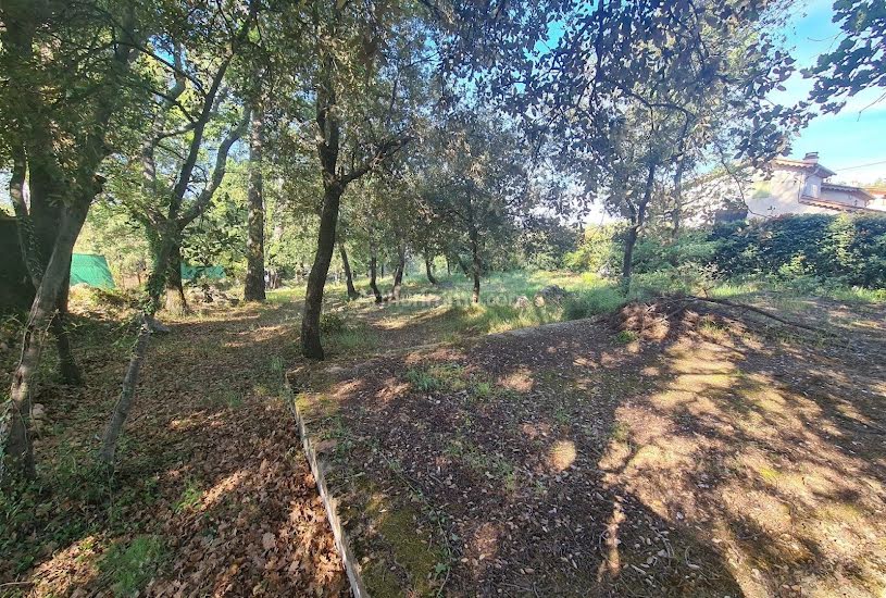  Vente Terrain à bâtir - 1 241m² à Flayosc (83780) 