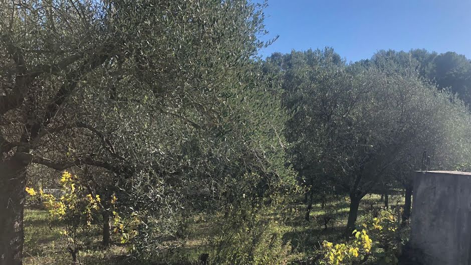 Vente terrain à batir  2400 m² à Valbonne (06560), 590 000 €