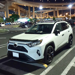 RAV4 AXAH52