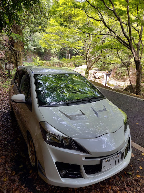 ヴィッツのｳﾞｨｯﾂG's友達募集中・梅雨の中休み・暇人なのです！・ネタ掘れﾜﾝﾜﾝに関するカスタム事例の投稿画像9枚目