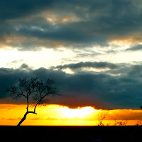 tra cielo e terra di 