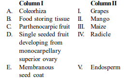 Seeds and Fruits