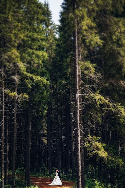 Весільний фотограф Ирина Волк (irinavolk). Фотографія від 14 серпня 2017