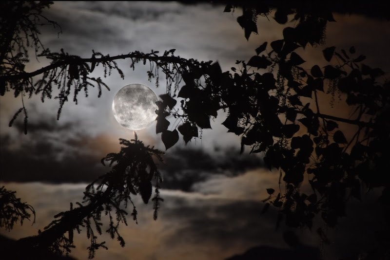 Chiaro di luna piena di giorda76