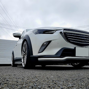 CX-3 DKEFW