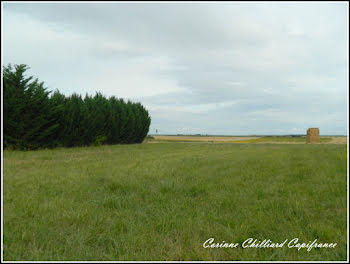 terrain à Moulotte (55)