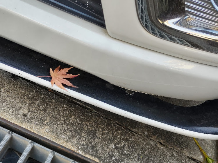ウェイクの朝のドライブ・WAKERS!・うぇいかーず関西に関するカスタム事例の投稿画像1枚目