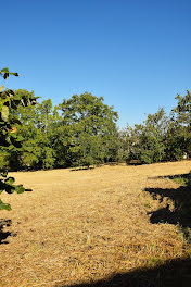 terrain à Saint-Médard-en-Forez (42)