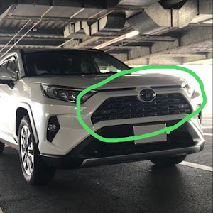 RAV4 MXAA54