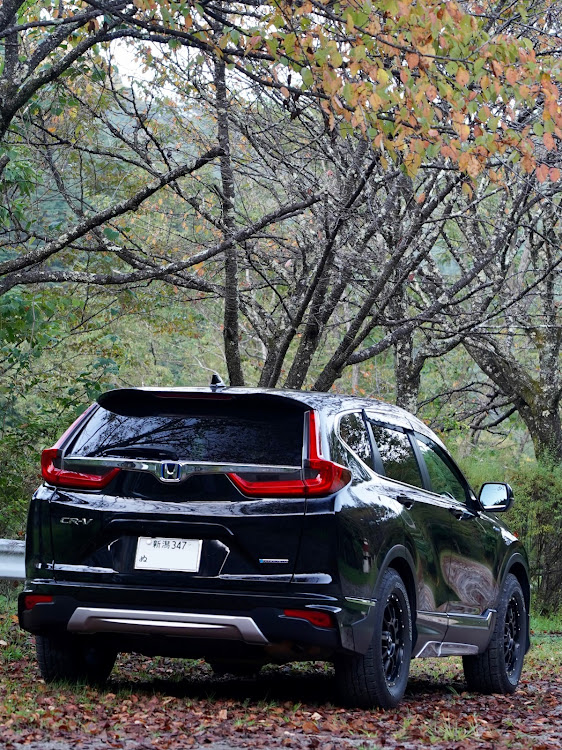 CR-Vの自然の中のCR-V・楽しかった休日🌟🌟・長野のいいところ・自然がいっぱい・おまけがメイン⁉︎に関するカスタム事例の投稿画像11枚目