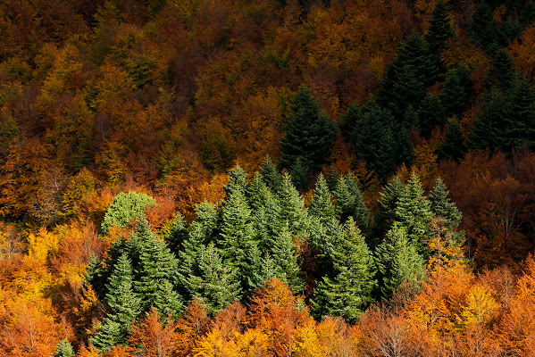 Luci ed ombre sull'autunno di LucaMonego