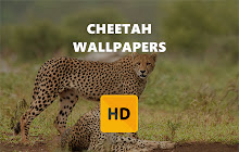 Cheetah Wallpaper HD New Tab Theme small promo image