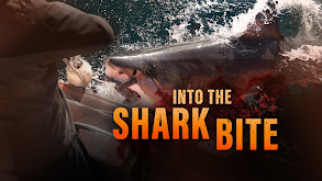 Into the Shark Bite thumbnail