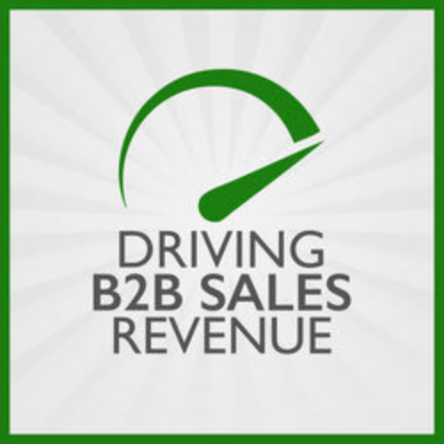 Driving B2B Sales Revenue logo