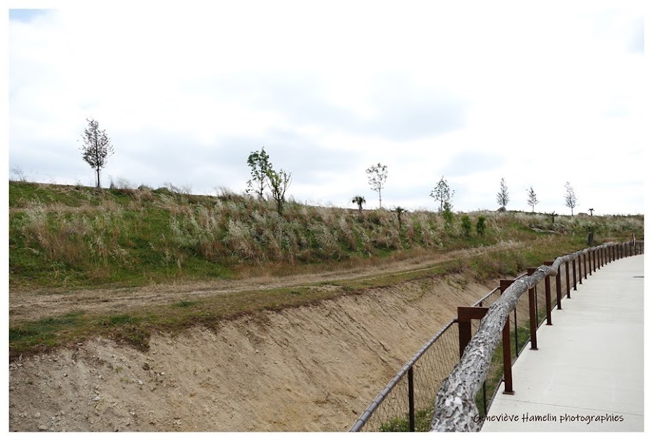 Exemple d'enclos moderne conçu pour le bien-être des guépards, au Bioparc de Doué la Fontaine - (c) Geneviève Hamelin, tous droits réservés