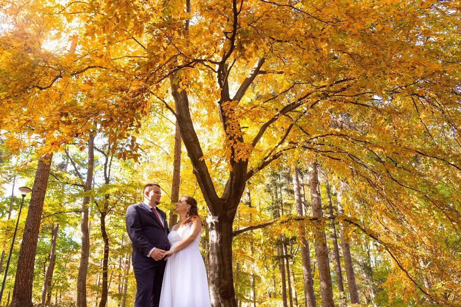 Fotografo di matrimoni Weronika Bolek (wbolek). Foto del 25 febbraio 2020