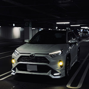 RAV4 MXAA54