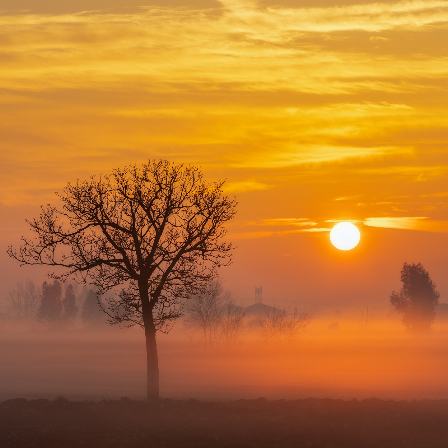 Buongiorno di lurick