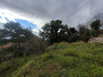 terrain à Castelnau-de-Guers (34)