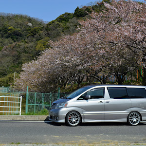 アルファード