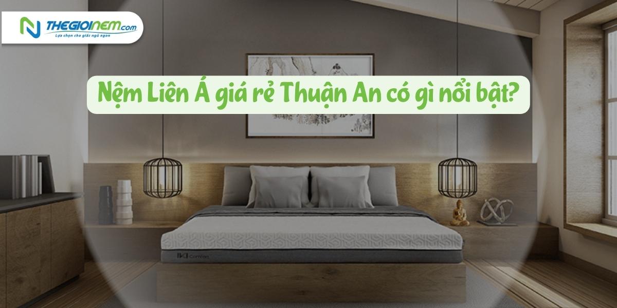 Đại lý nệm Liên Á giá rẻ Thuận An - Bình Dương | Thegioinem.com