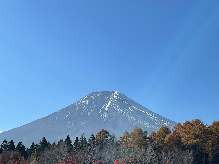 の投稿画像8枚目