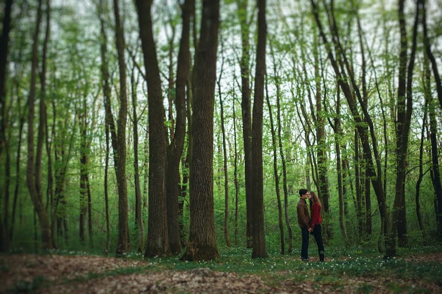 Svatební fotograf Irina Ilchuk (irailchuk). Fotografie z 13.června 2018