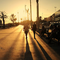 passeggiata tra le palme verso la luce del tramonto di 