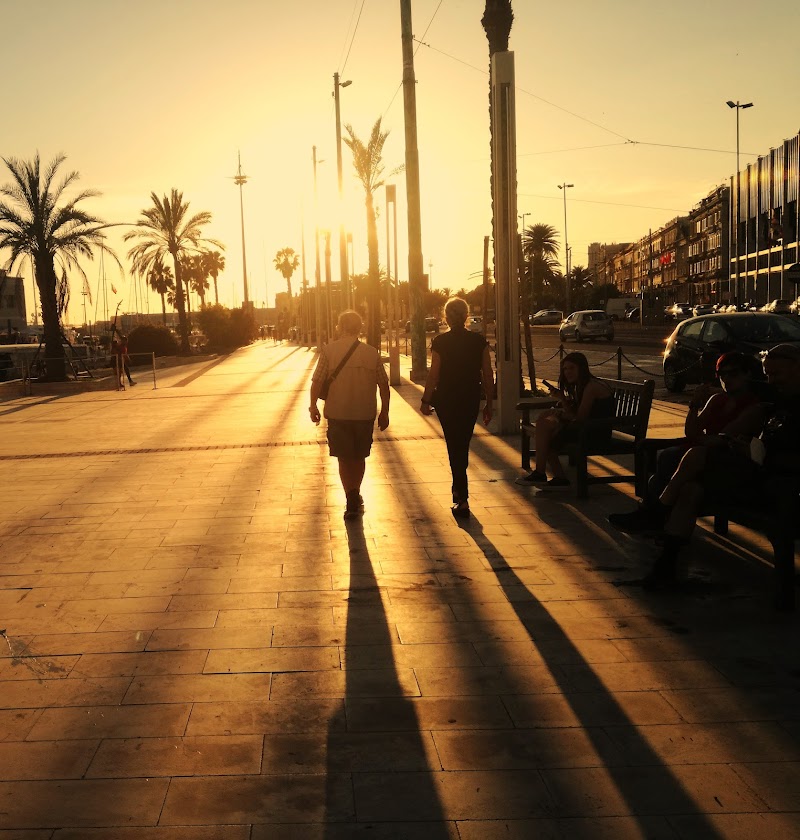 passeggiata tra le palme verso la luce del tramonto di Inge