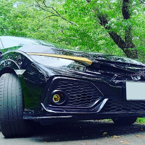 シビック FK7