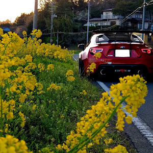 BRZ ZC6