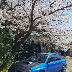 インプレッサ WRX STI GDB