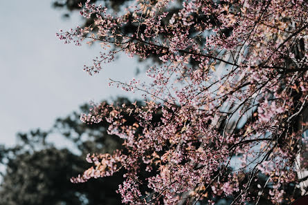 Pulmafotograaf Andrew Nguyen (hipsterwedding). Foto tehtud 4 juuni 2017