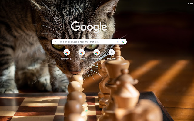 HD wallpaper: Cats, Chess, Pet